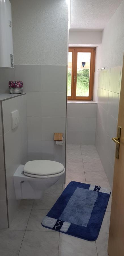 Ferienwohnung Natururlaub Muggenbrunn Todtnau Exterior photo
